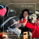 한창농장 | [양평 여행] 양평 외갓집 딸기농장 체험, 달콤했지만 조금은 아쉬웠던 후기