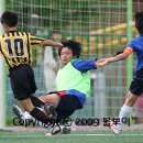 동명초교 이미지