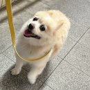 24시 신도림S동물의료센터 | 24시간 동물병원 신도림 S 동물의료센터