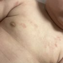 2022-주189 이미지