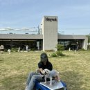 카페음봉 이미지