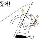 더스테이 골드독 이미지