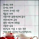 아리랑  세계의 심장을 두드리다 이미지