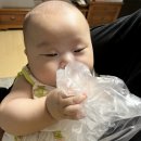 소답동242 | 7월☔