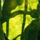 정해약국 이미지