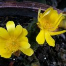 정정숙농장 이미지