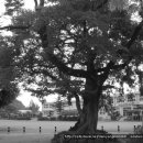 만덕초교 이미지