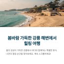 용문산푸른공원 | KTX 타고 1박2일 서울 출발 여행지
