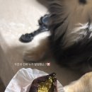 경기도 수원시 영통구 매여울로61번길 이미지