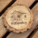 수락119안전센터 | 노원구 수락휴 : 봄을 찾기 (보물찾기)이벤트, 보물 위치 공유
