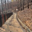 바람소리새소리 이미지