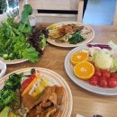 채식향기 이미지