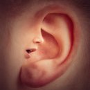 만곡 | 비중격 만곡증 수술 후기 후 코막힘 수술비용