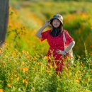 연천 이미지