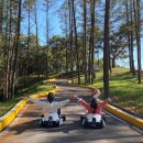 안새내길 이미지