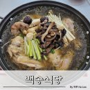 족구장 | [남한산성 맛집] 남한산성 능이한방백숙 백송식당 후기(feat.족구장 완비)