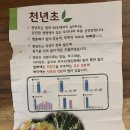 강인건강원