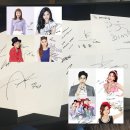 베이비몽 부천점 | 분당강아지분양 백점만점인 베이비몽