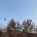 곡성집라인 이미지