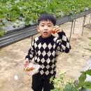 응골농장 이미지