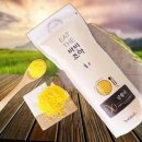 조아조아 피규어 이미지