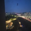 삼보로얄아파트 | [수도권 임장 후기] 부천 중동신도시- 상동