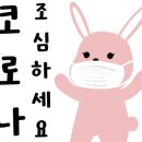 화정힐동물병원 이미지