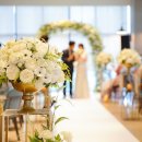 마리앤코 이미지