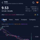 바이오솔루션스 | 인텔리전트 바이오 솔루션스(INBS)주가, +132.44% 급등, 애프터장 -13.64% 하락 (2025.12.31)