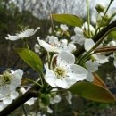 봉화산농장 이미지