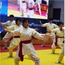 전통무예 택견 이미지