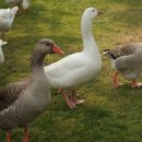 제기동역 이미지