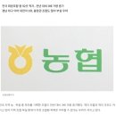 농협 합병/절차부터 지원금까지 한눈에 정리