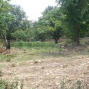 노봉혼불문학마을 이미지