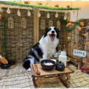 진해유치원 이미지