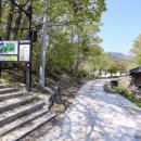 힐링캠프캠핑장 이미지