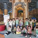 (주)해적아일랜드 이미지