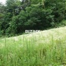 아리랑공인중개사사무소 이미지