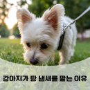 제주자연동물병원 이미지