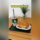 라바게트분당