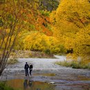 행복한 동행 이미지