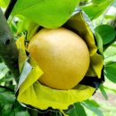 진솔농장 이미지