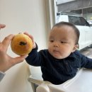 수제베이커리 이미지