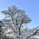 티하우스다운재 네이버블로그