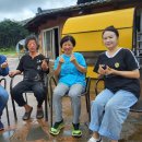 아리랑활력무 이미지