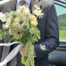 Wedding)제주 스냅-케이살롱, 노아스냅(촬영 후기)