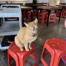 월미도도도 | 월미도 조개구이 맛집 가족모임 먹거리는 전라도대왕조개구이 무한리필 술집