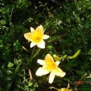 태선목장 이미지