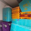 태산체육관 이미지