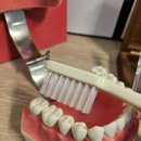 향남바른치과의원 이미지